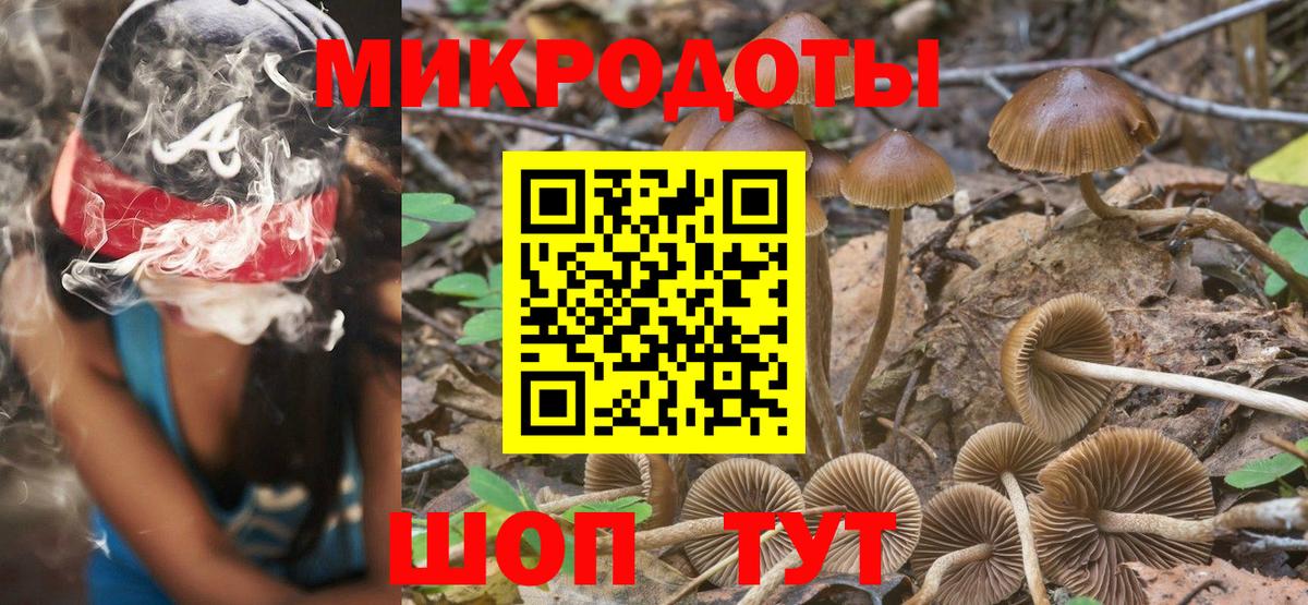 Псилоцибиновые грибы мухоморы Северск