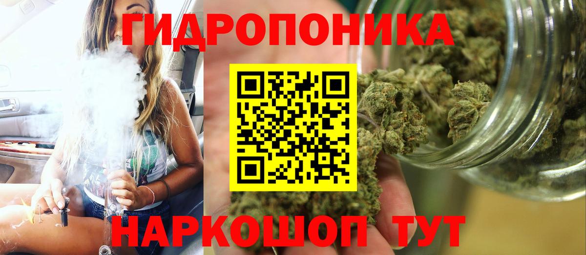 Бошки марихуана марихуана Северск